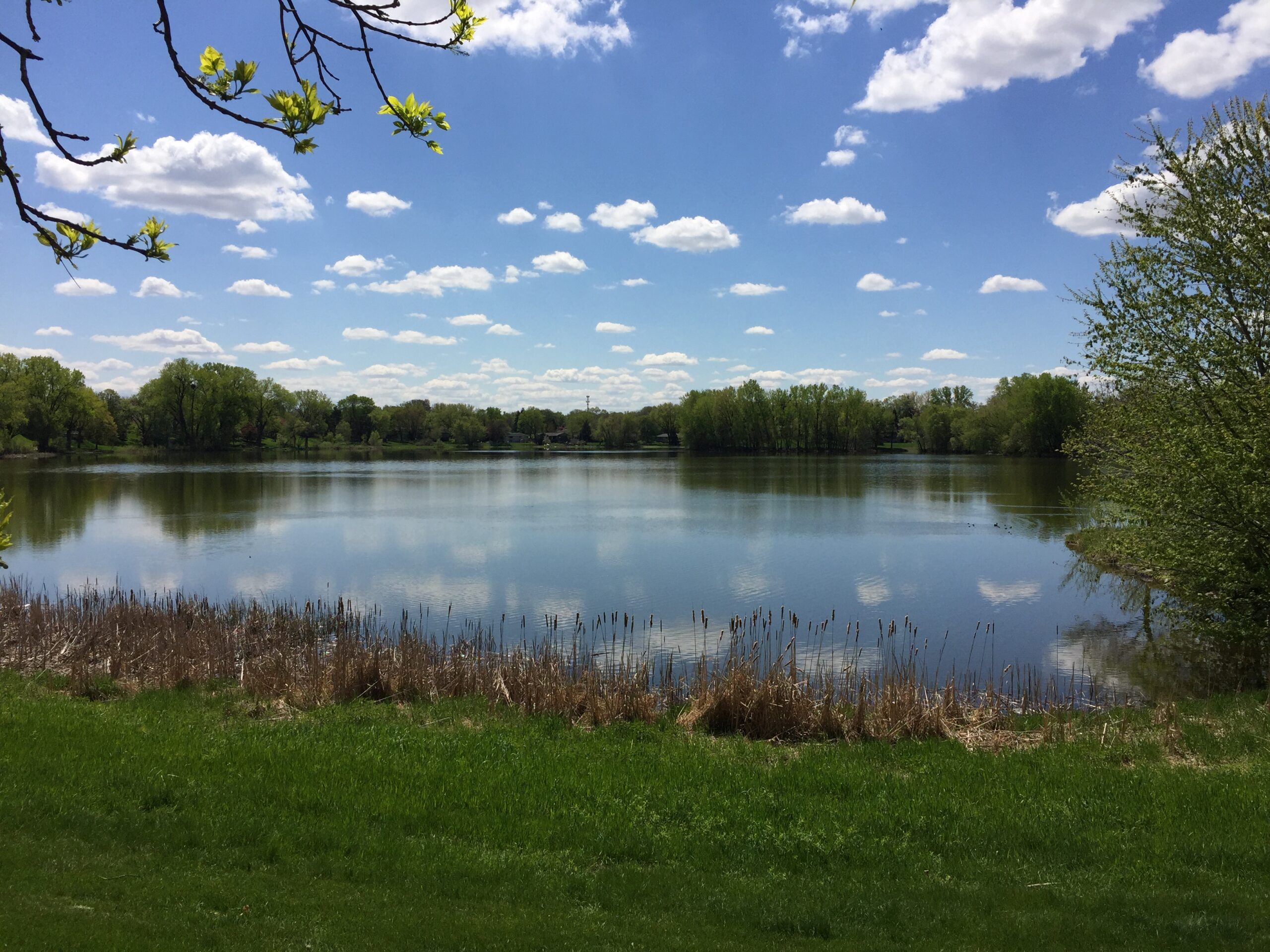 Penn Lake Study Nine Mile Creek Watershed District
