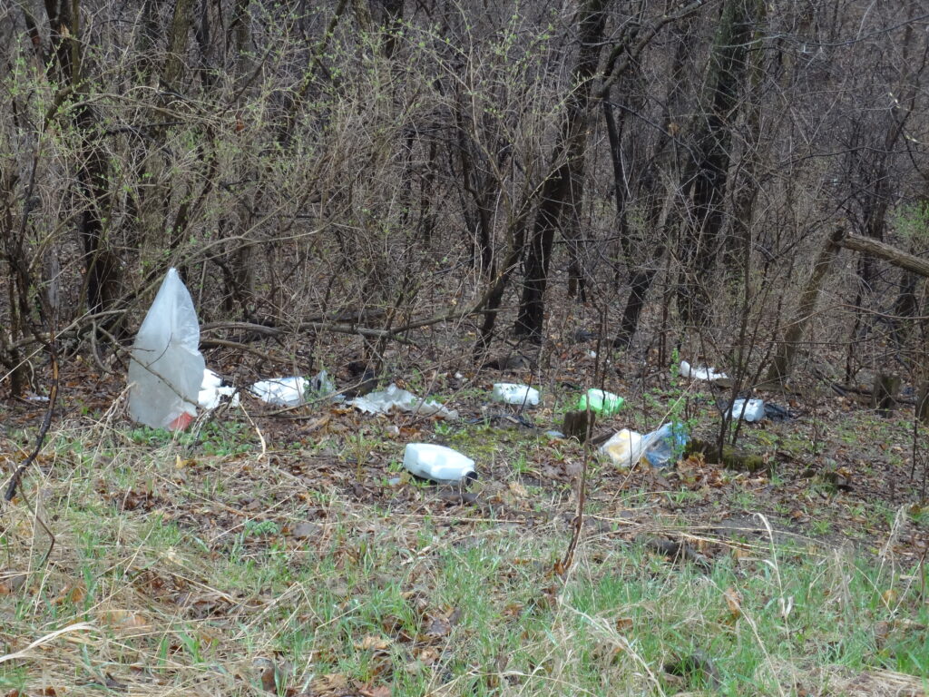 Trash on the ground in the forest.