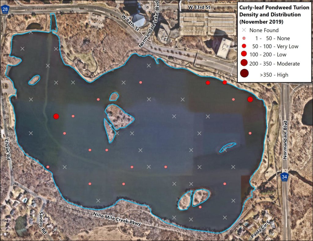 Image of a figure of Turion Density Normandale Lake CLP Turion Survey (2019) by Barr Engineering