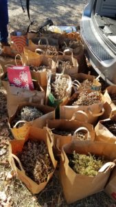 paper bags filled with seeds