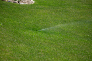 image of sprinkler