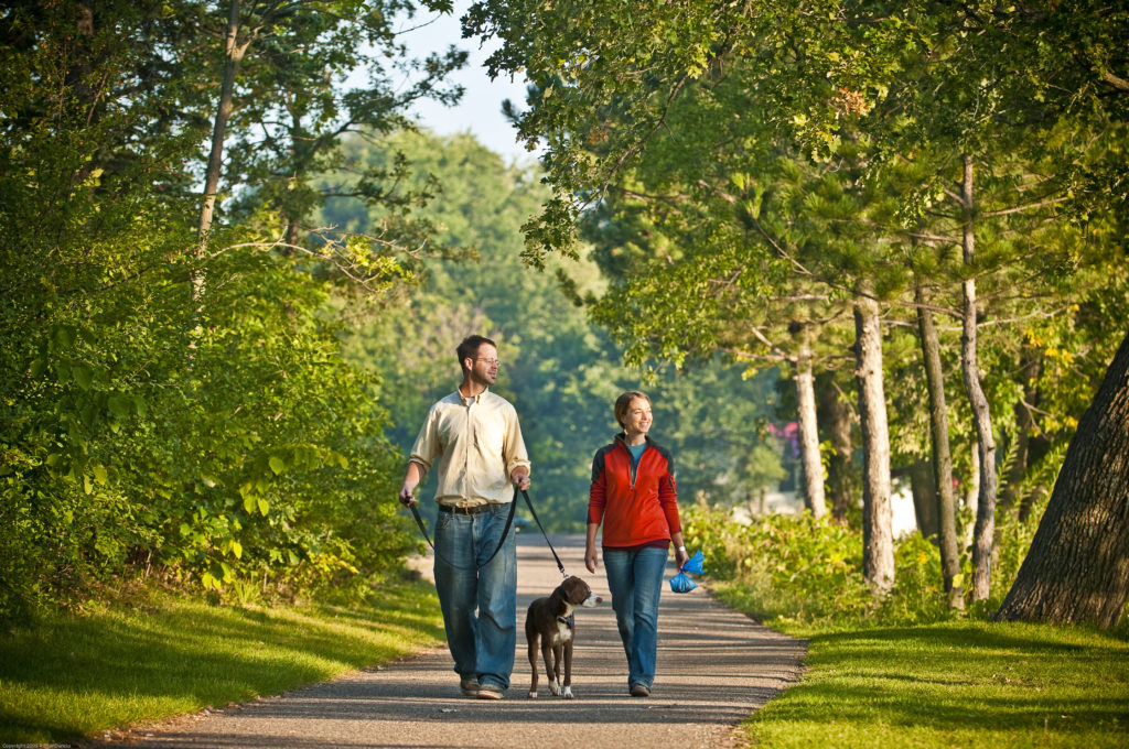 Image of people walking a dog