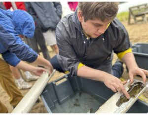 people try to identify fish on Bush Lake