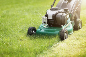 A push mower mowing the grass.