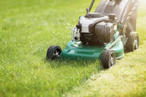 A push mower cutting the grass.