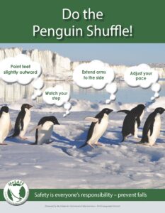 Penguins on a snowy surface with thought bubbles describing how to do the penguin shuffle.