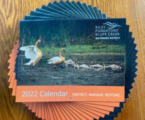 Image of 2022 calendars with a group of swans as the cover picture