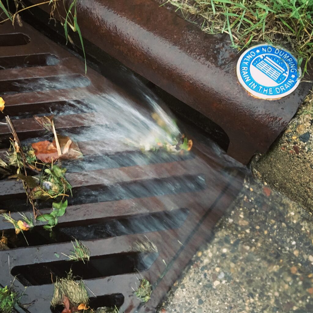 Rain washing into a stormdrain with a "no dumping" sticker on the drain.